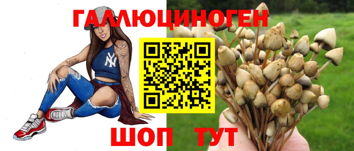 Волхов  купить   Вход с VPN  Галлюциногенные грибы ЛСД 